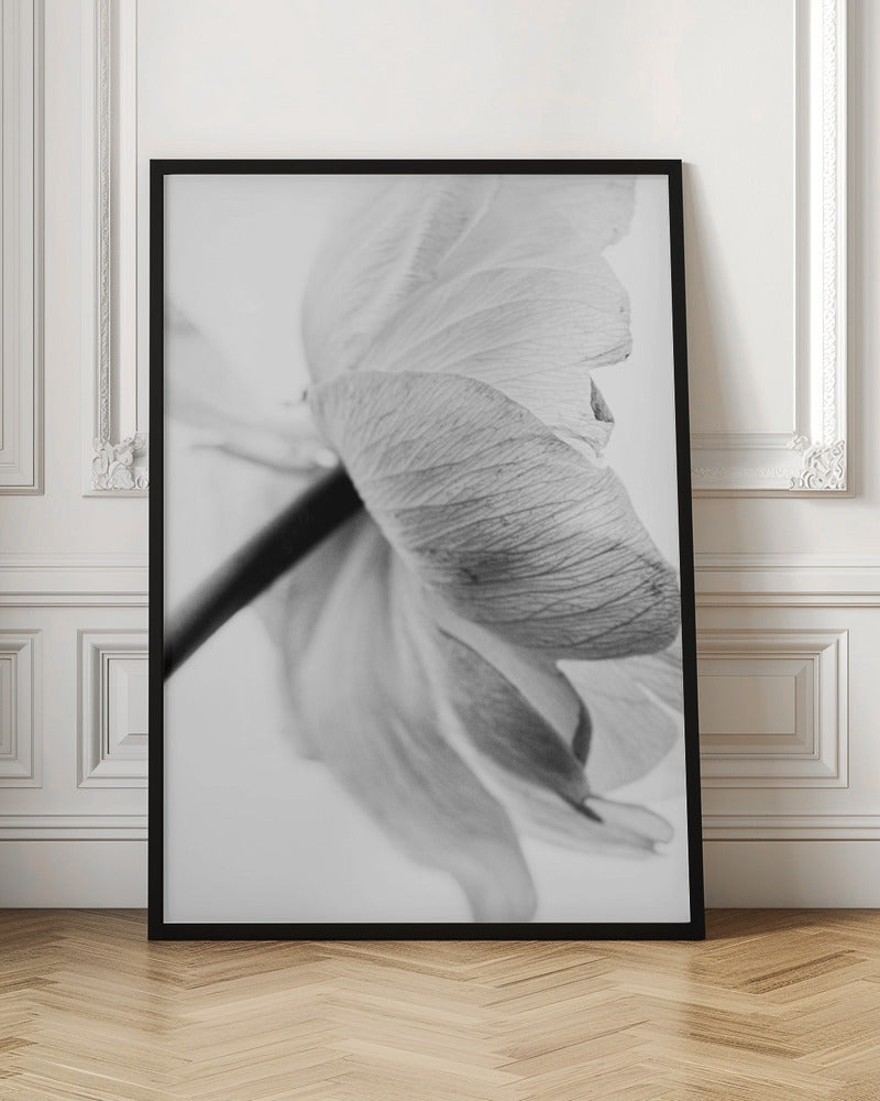 Wall art Blooming Flower Canvas Print