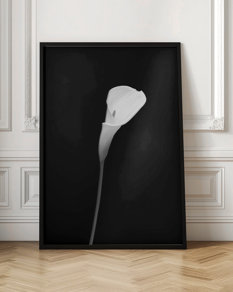 Wall art Calla | dark design