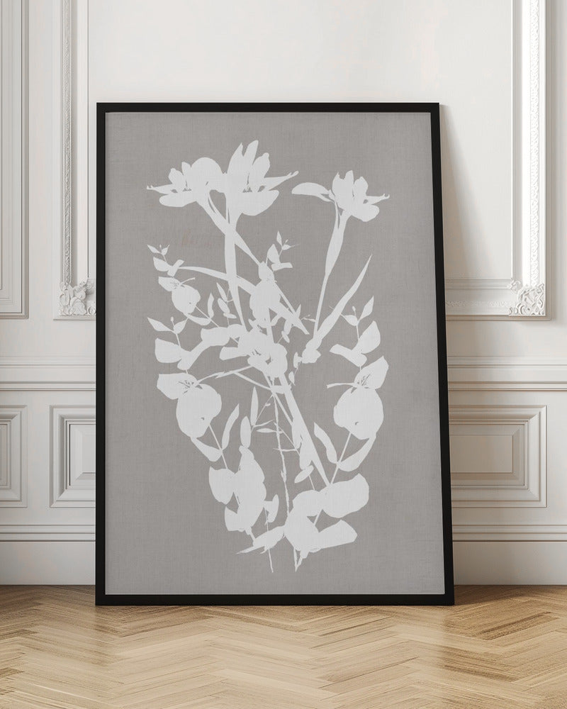 Wall art Botanical Illustration 1
