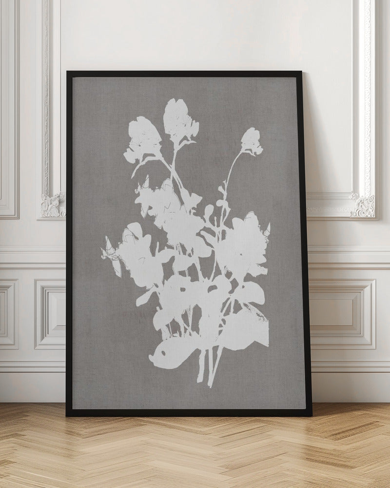 Wall art Botanical Illustration 3