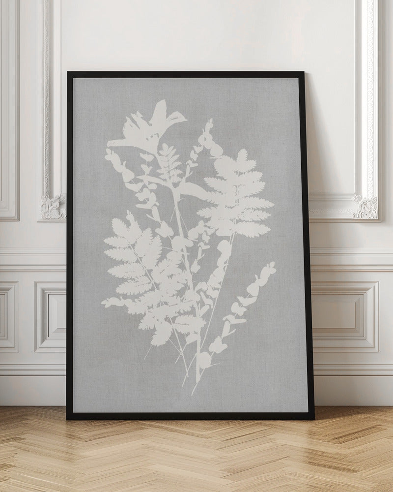 Wall art Botanical Illustration 5