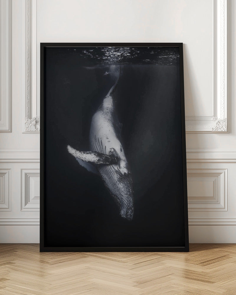 Wall Art-Black Whale