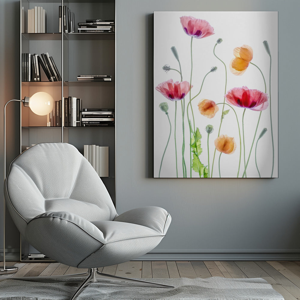 Wall art Poppies1