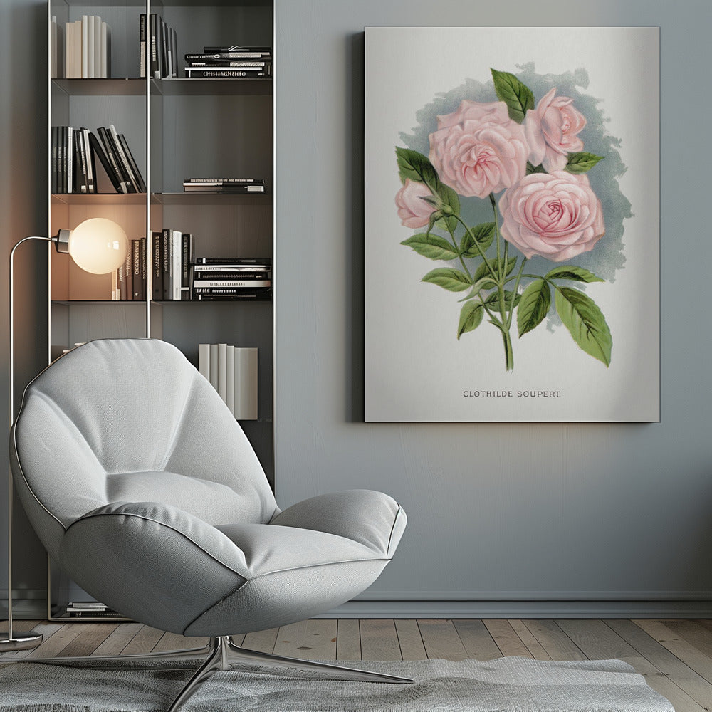 Wall Art Pink Rose, Clothilde Soupert Lithograph