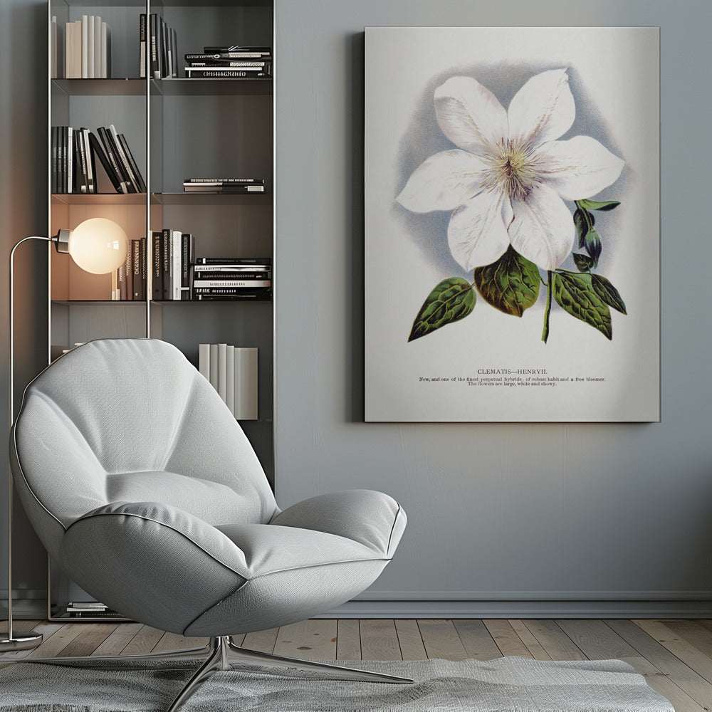 Wall Art Clematis Flower Lithograph