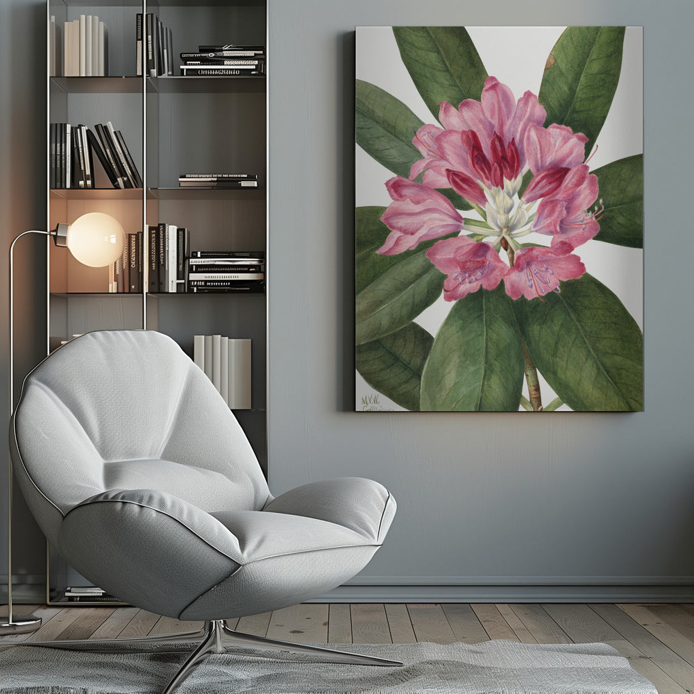 Wall Art Mountain Rose Bay (1932)