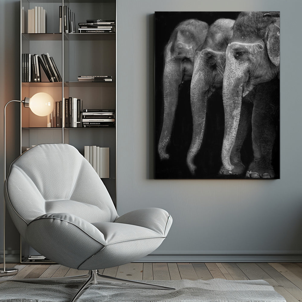 Wall art Nature\'s great masterpiece, an elephant; the only harmless great thing ...