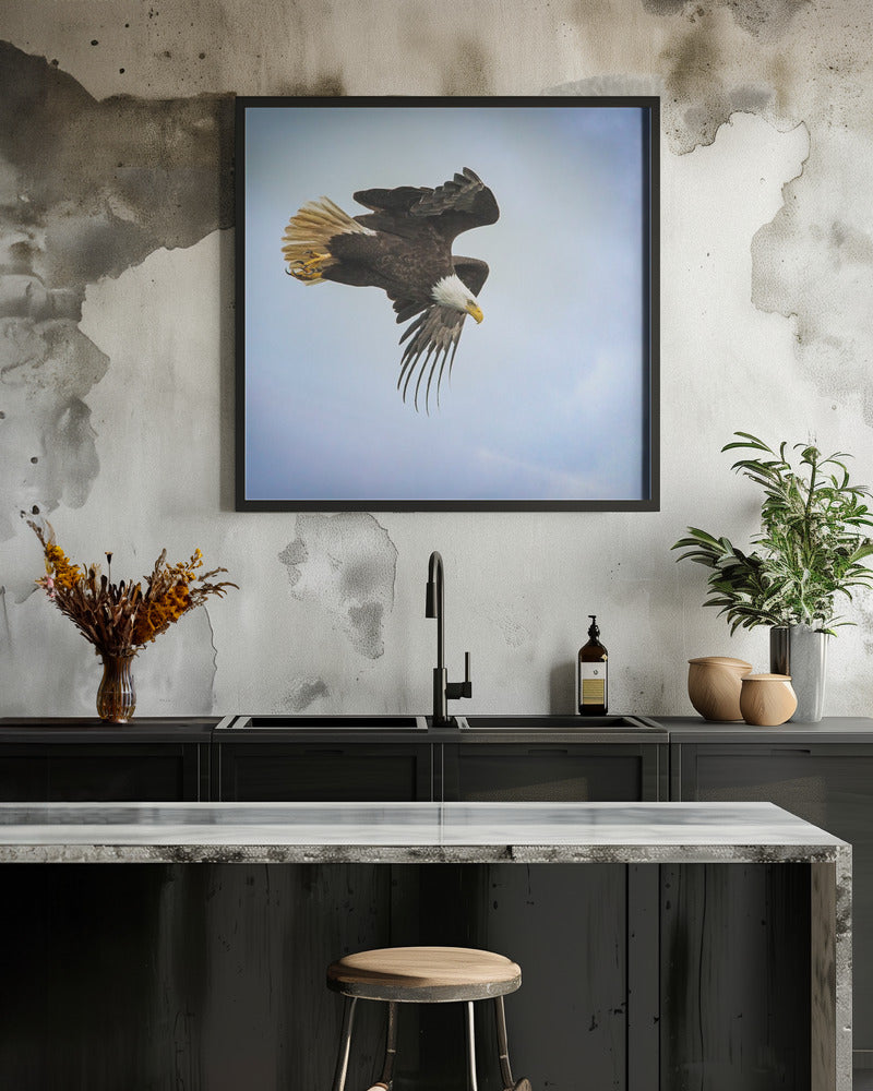 Wall art Taking Flight