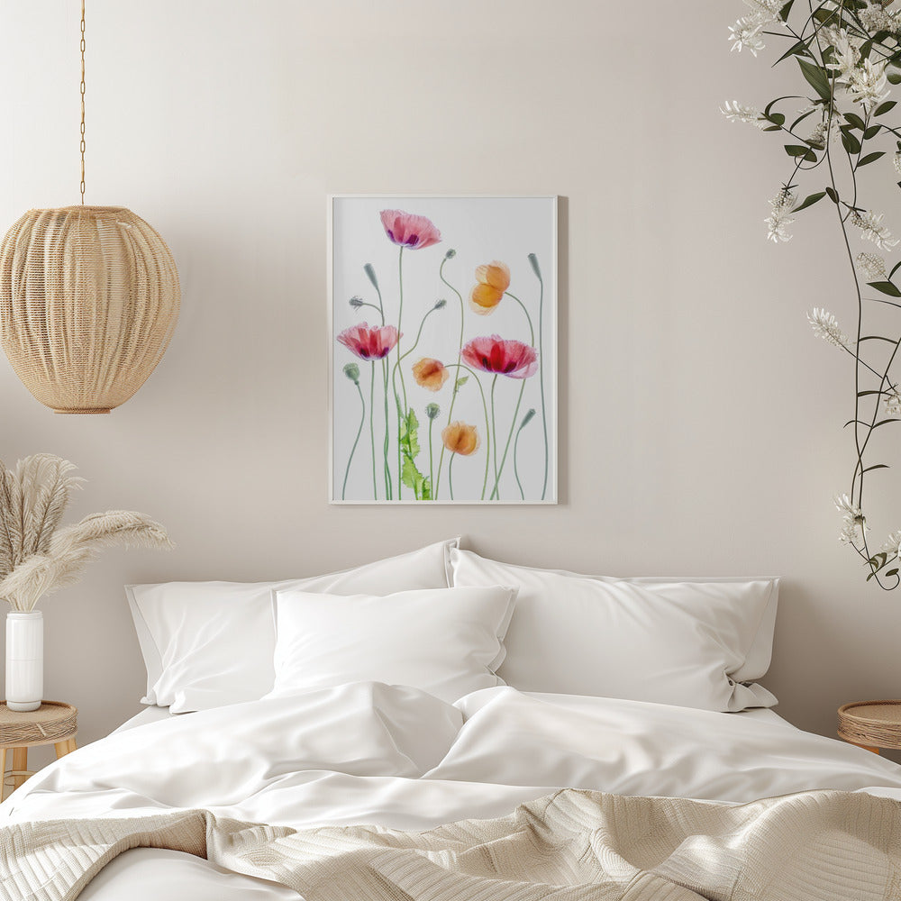 Wall art Poppies1