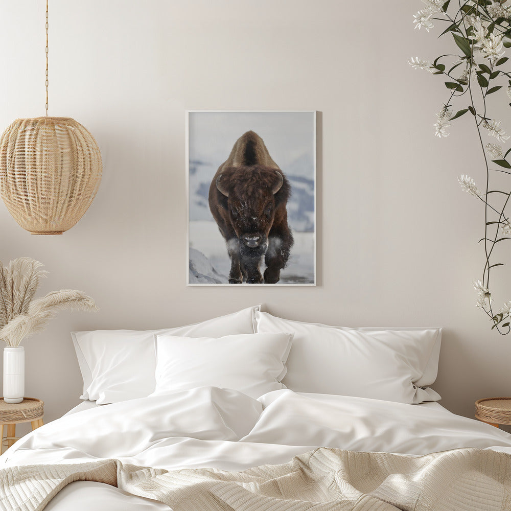 Wall Art Bison Incoming