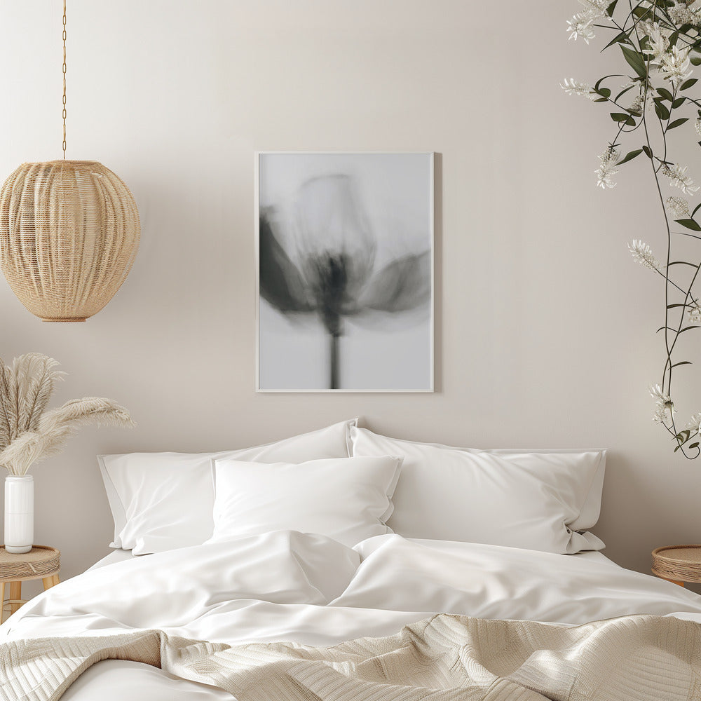 Wall art Mono Tulip
