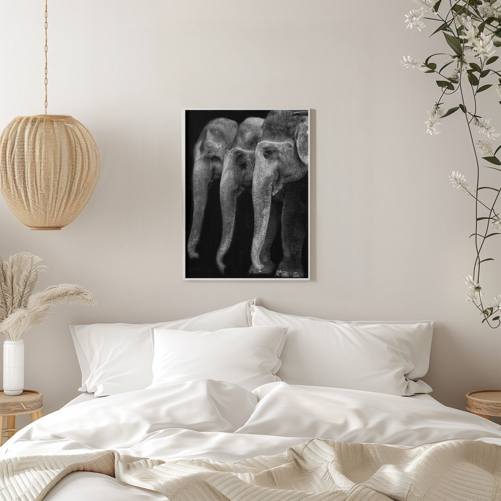 Wall art Nature\'s great masterpiece, an elephant; the only harmless great thing ...