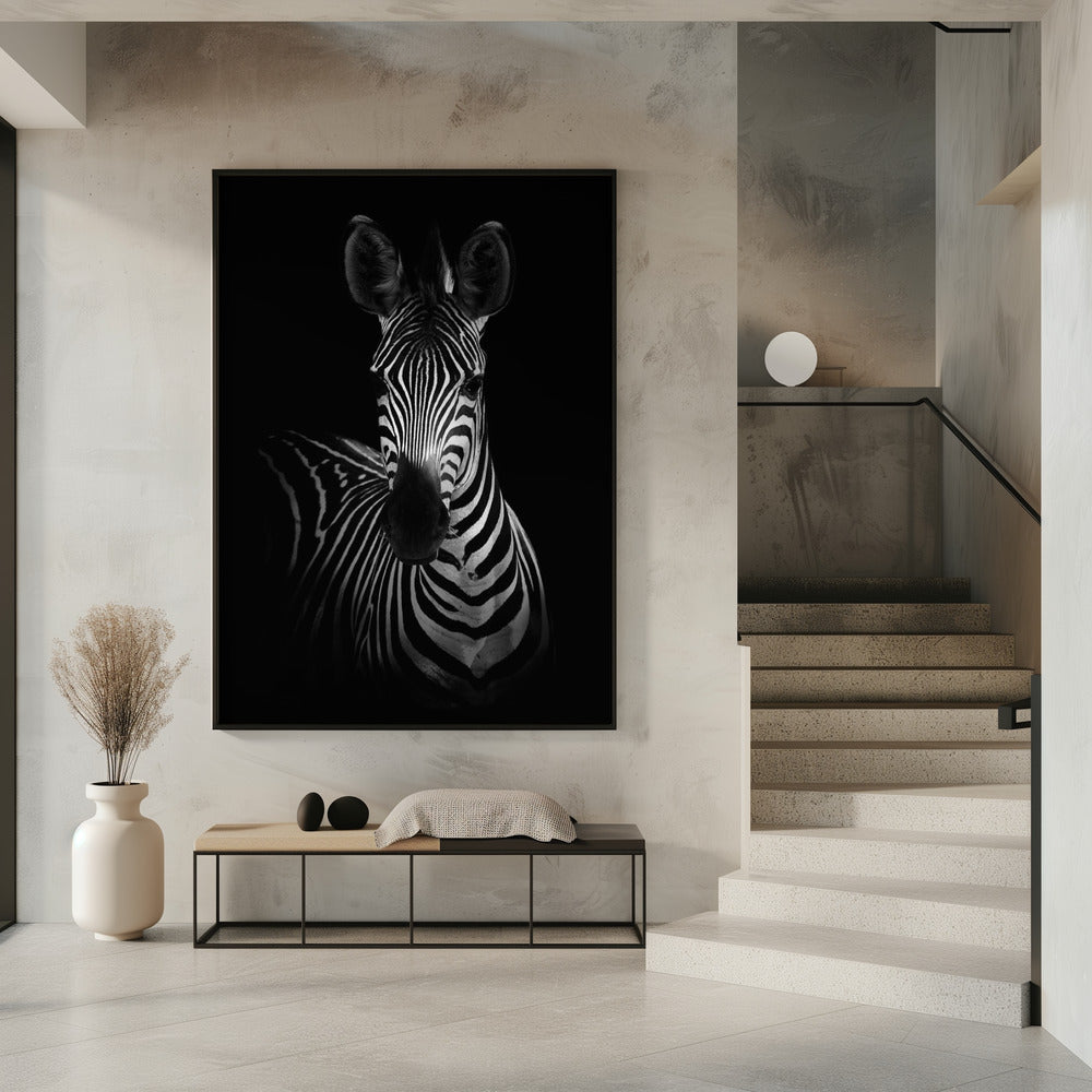 Wall Art The Zebra