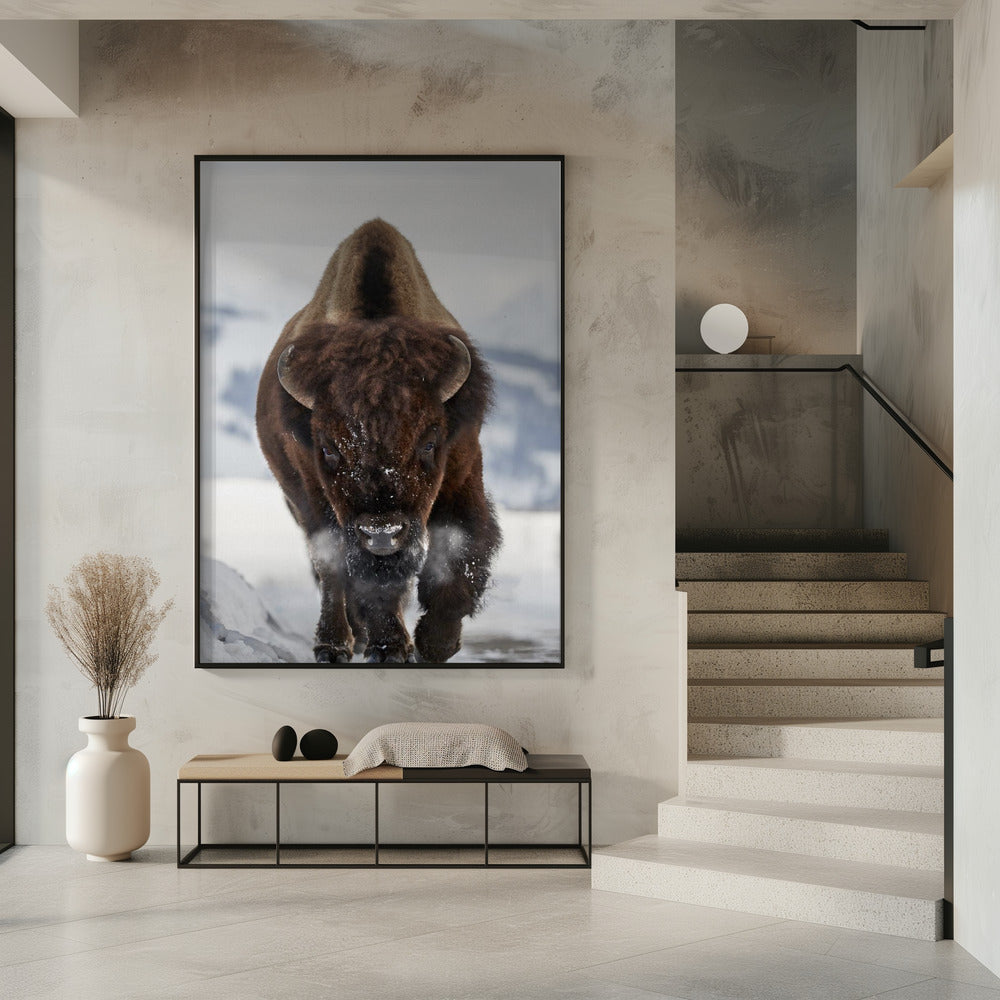 Wall Art Bison Incoming