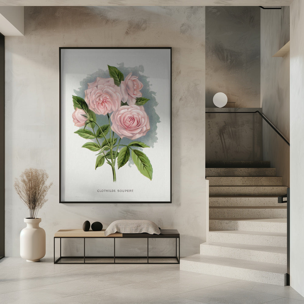 Wall Art Pink Rose, Clothilde Soupert Lithograph