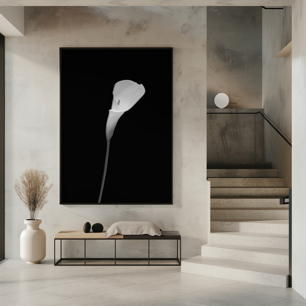 Wall art Calla | dark design