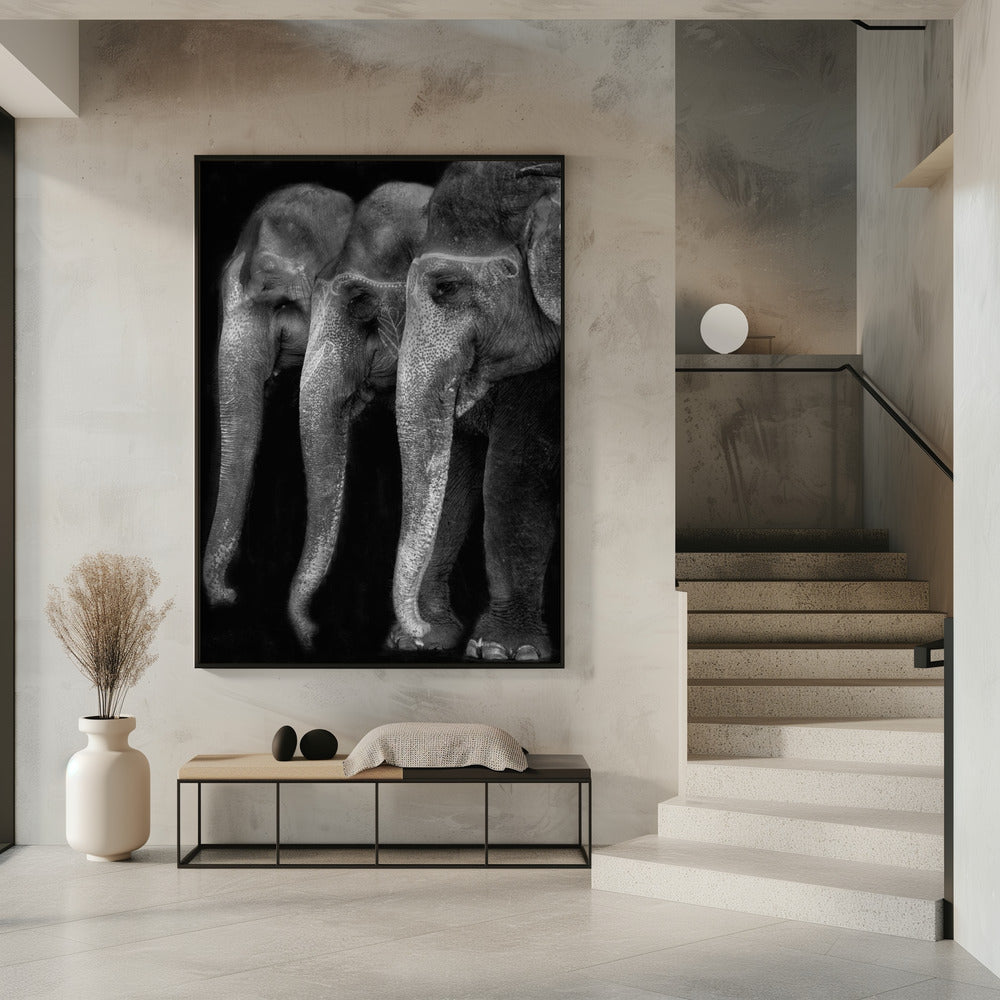 Wall art Nature\'s great masterpiece, an elephant; the only harmless great thing ...