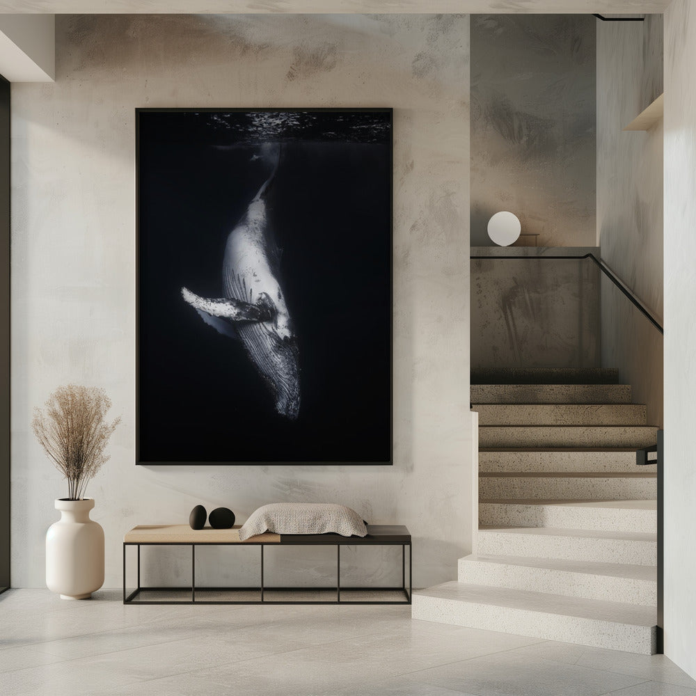 Wall Art-Black Whale