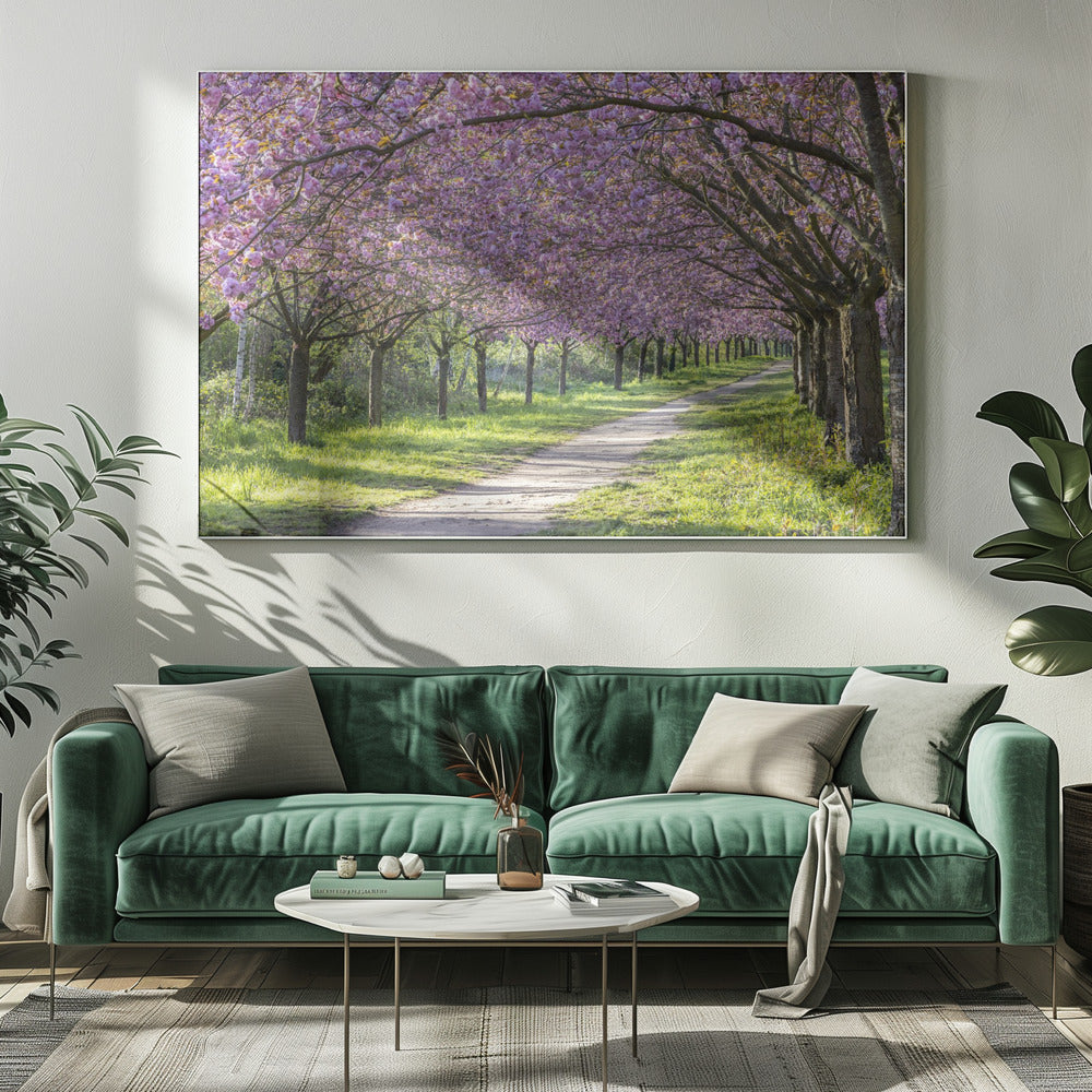 Wall art Idyllic cherry blossom alley