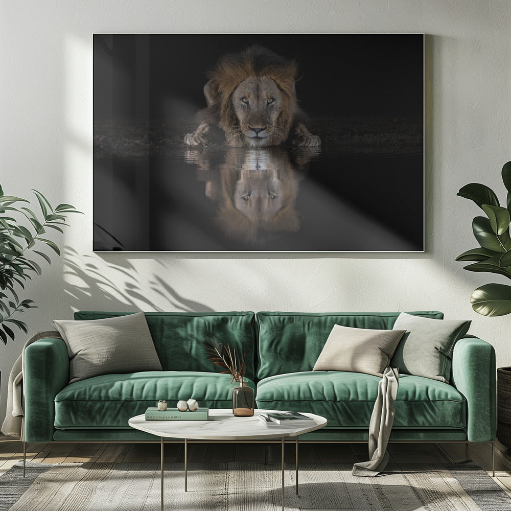 Wall art A Lion at The Night