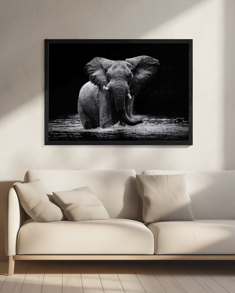 Wall art Power 1. Elephant