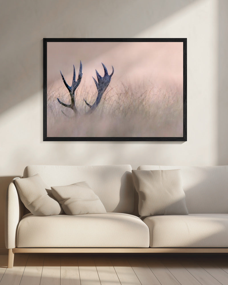 Wall art   Hide & Seek ( Horn of Stag)