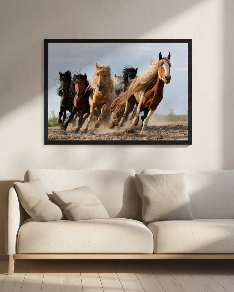 Wall art Lucky Six Horses