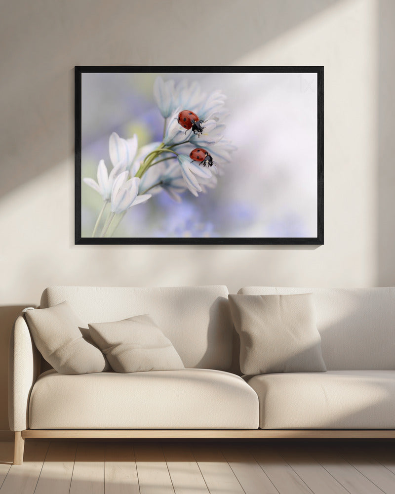 Wall art Ladybirds