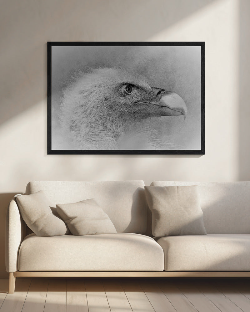 Wall art Bald eagle