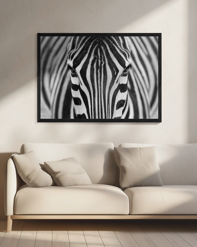 Wall art Zepra