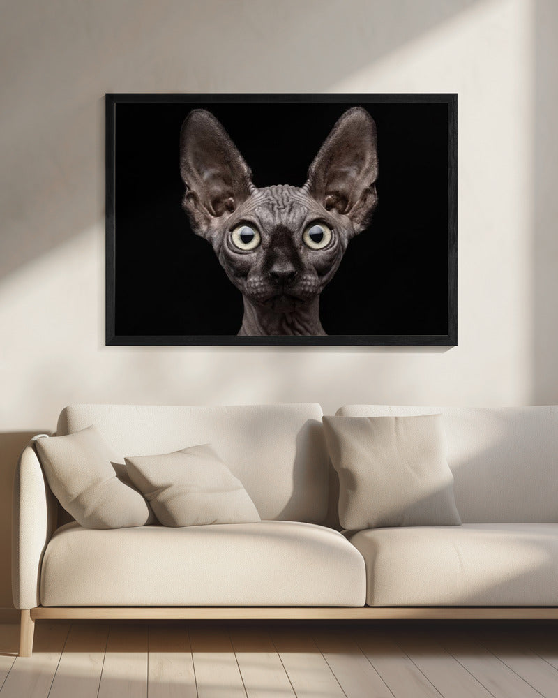 Wall art Sphynx Cat