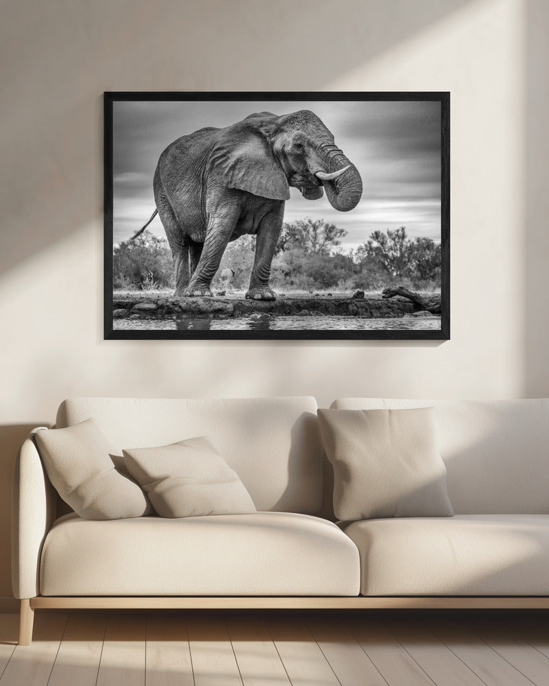 Wall art Standing Proud. Elephant