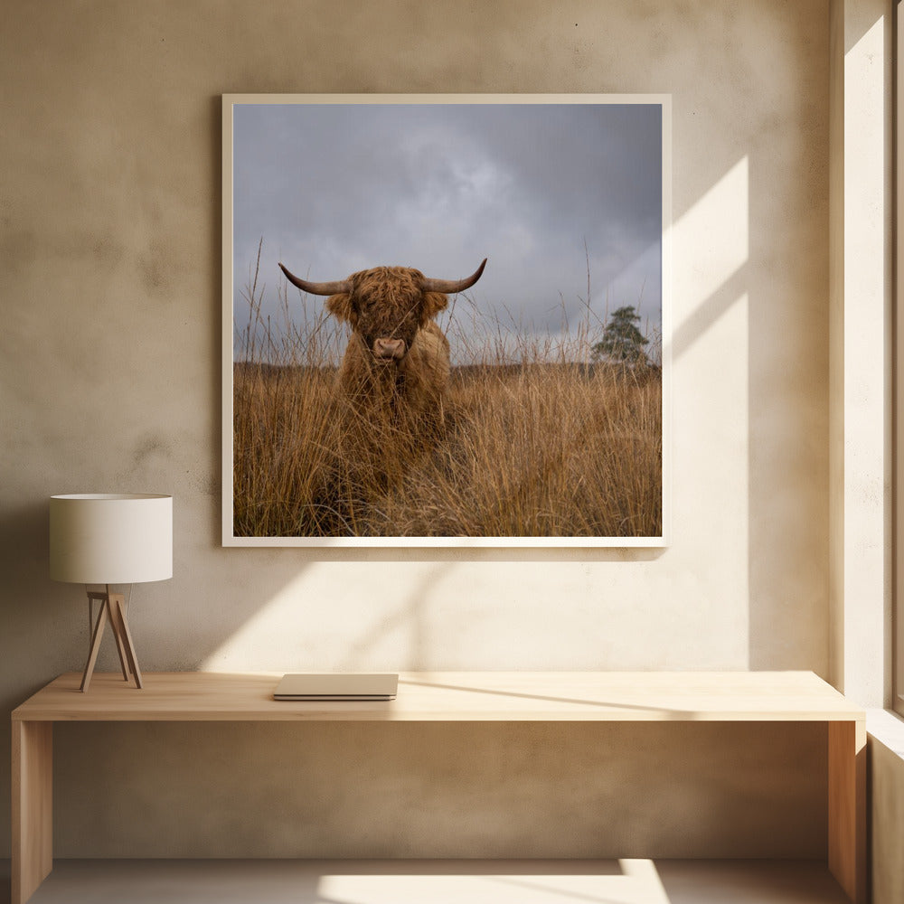 Wall art It wasn't me