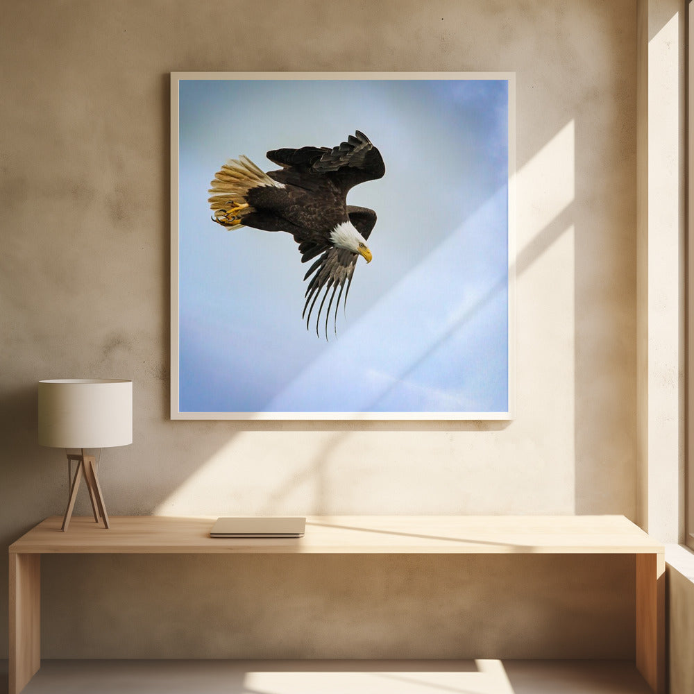 Wall art Taking Flight