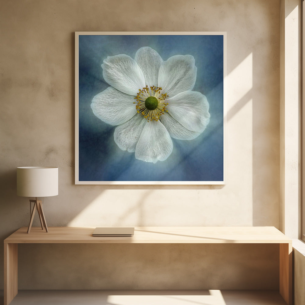 Wall Art Princes Anne-Mone