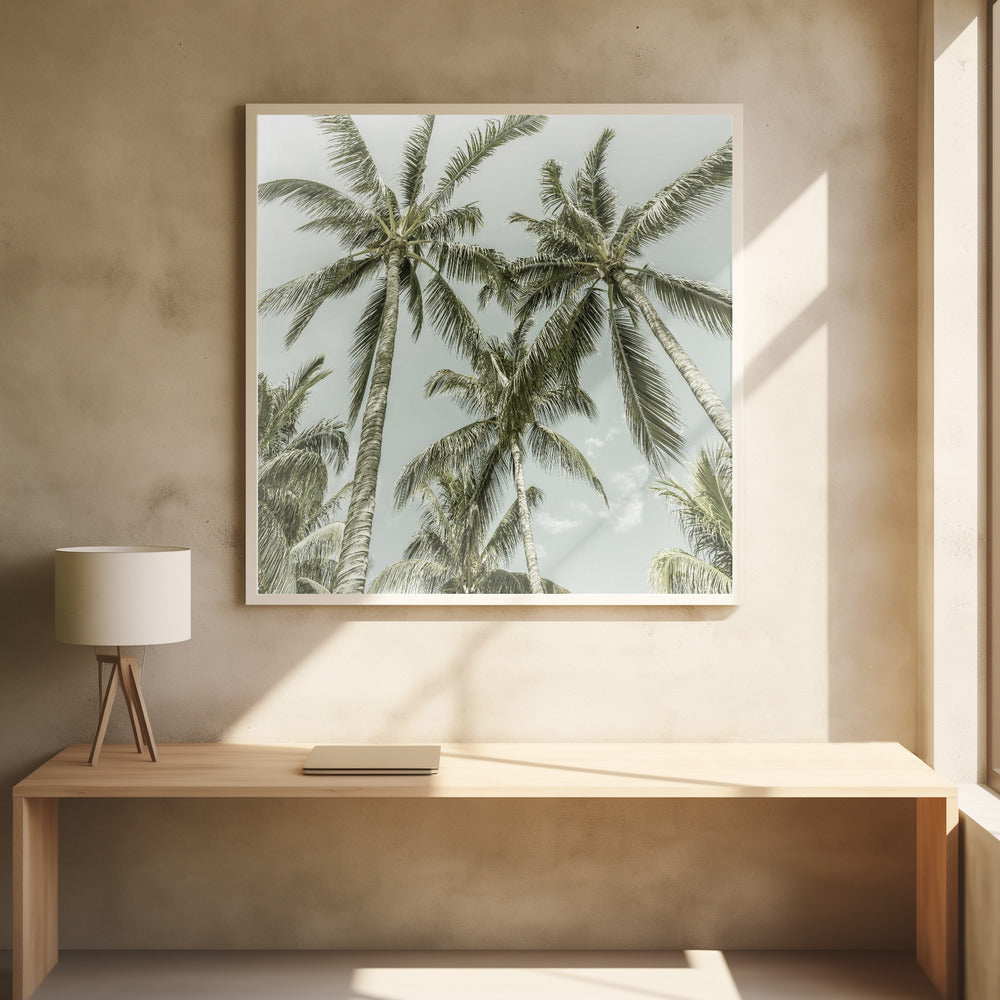 Wall art Lovely Vintage Palm Trees