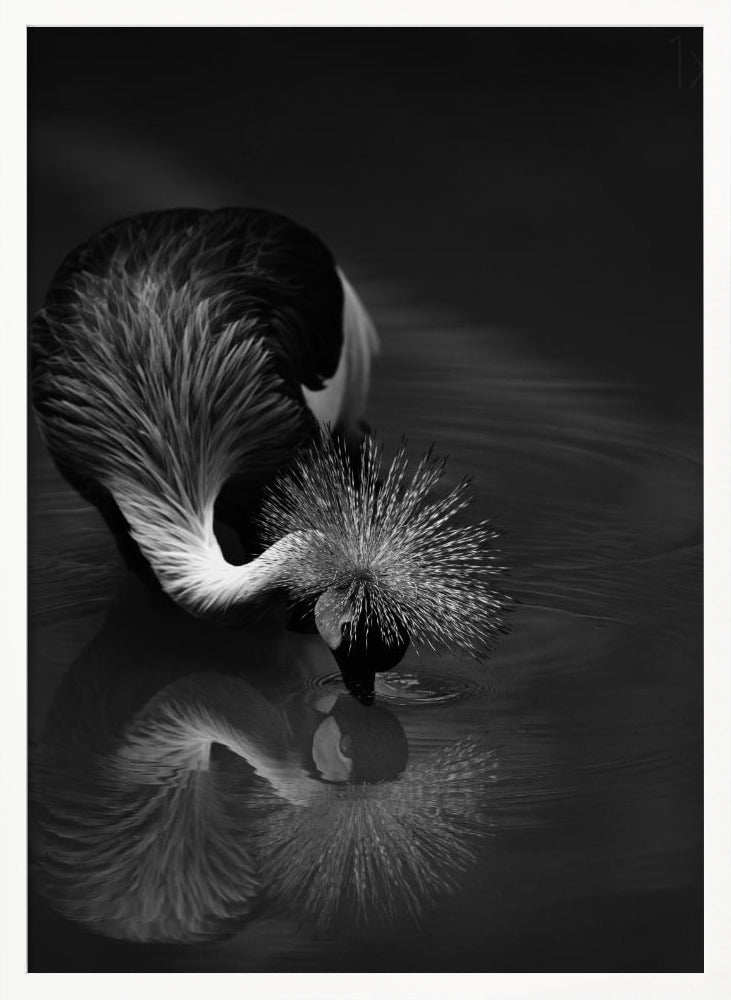 Wall art The reflection