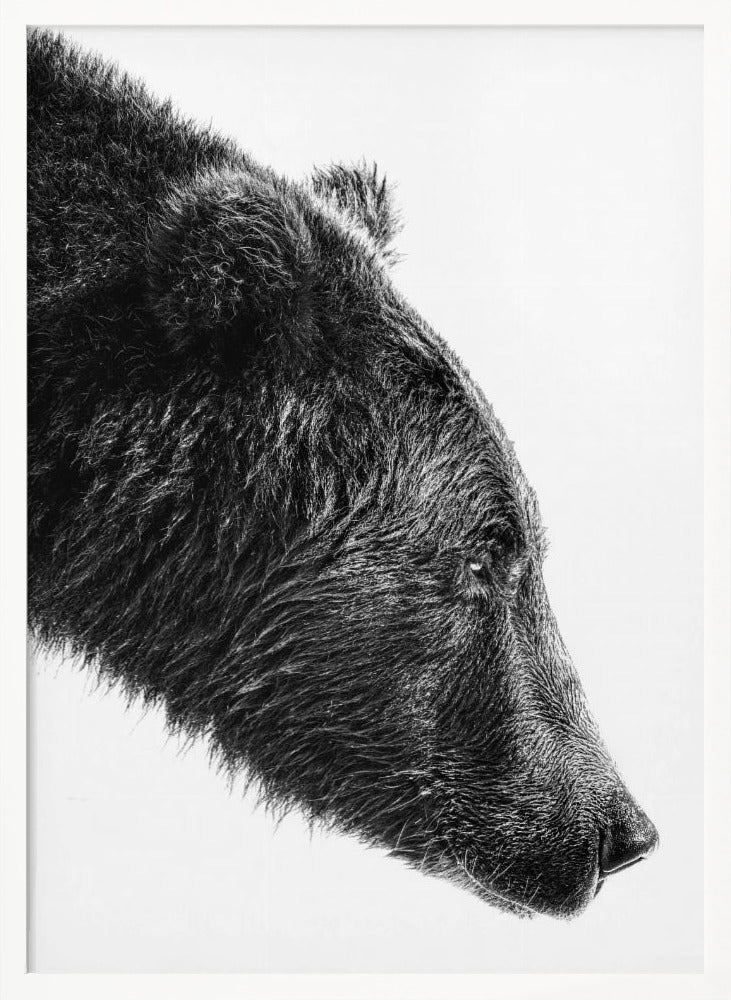 Wall art The Salmon Catcher