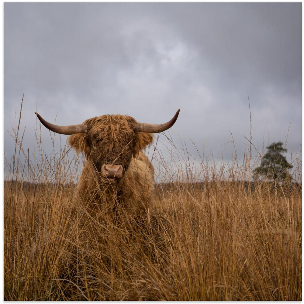 Wall art It wasn't me