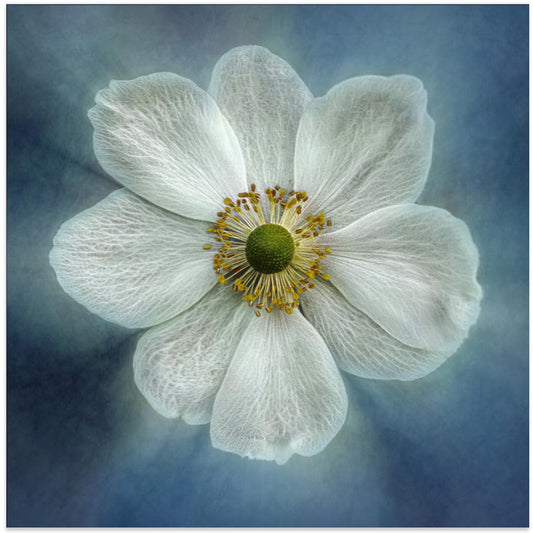 Wall Art Princes Anne-Mone