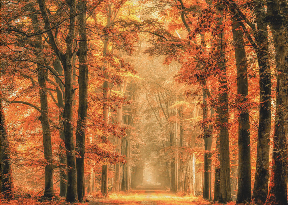 Wall Art Exit the Portal