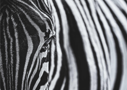 Wall art The look of nature