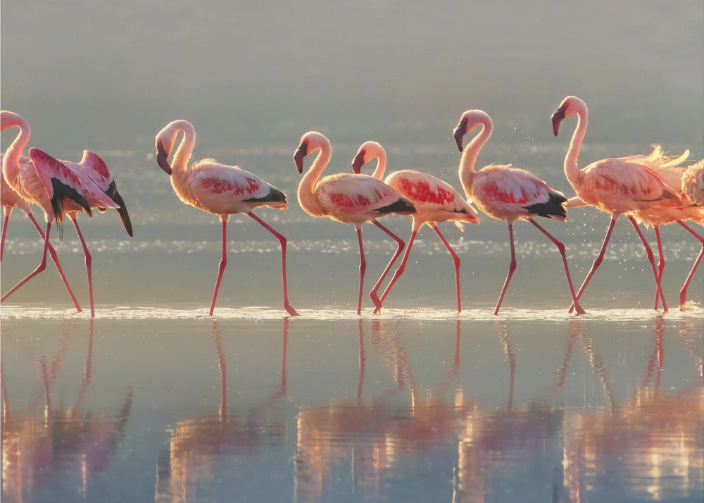 Wall art Flamingo Landscape