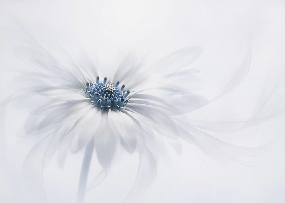 Wall art Serenity. Floral