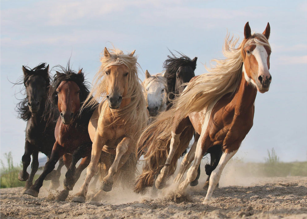 Wall art Lucky Six Horses