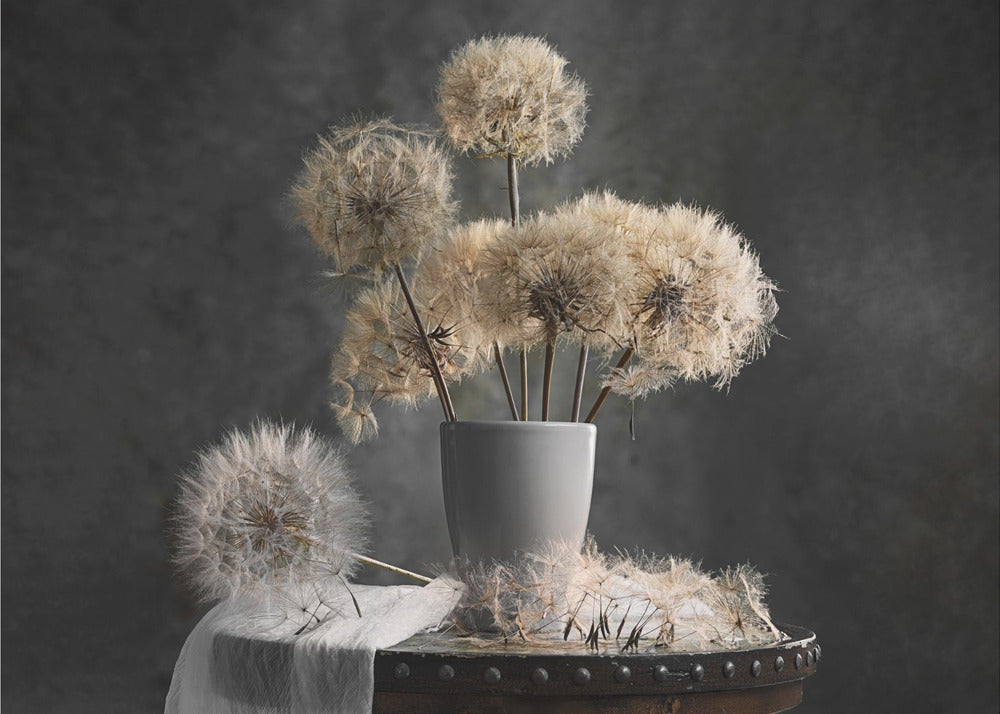 Wall Art Dandelion Seed Pod