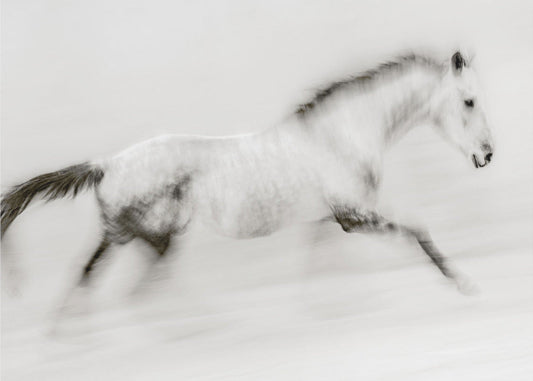 Wall art The unique brush stroke