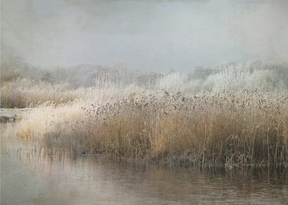 Wall art Wintermorning