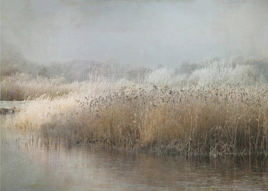 Wall art Wintermorning