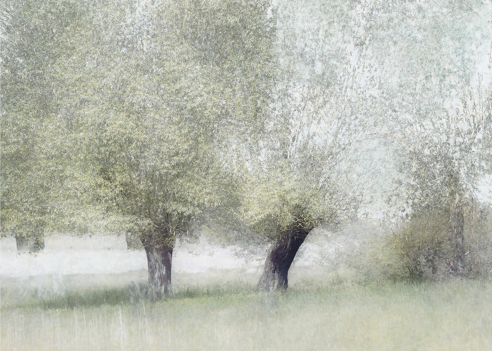 Wall art Young green